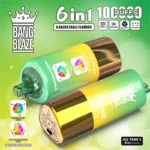 Bang Blaze 100000 Puffs 6 in 1 Flavors – 最新のLEDディスプレイ付き充電式使い捨て電子タバコ - 画像 (5)