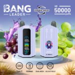 Bang Leader 50000 Puffs デュアルポッドシステム | カスタマイズ可能なエアフロー充電式電子タバコ - 画像 (7)
