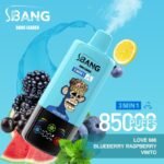 Bang Leader 85000 Puffs 3 in 1 Vape – トリプルフレーバーで長時間楽しめる最新デバイス - 画像 (2)