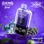 Bang Leader Stoll 120k パフ ダブルフレーバーVape | 長時間使用可能で充実したベイピング体験 - 画像 (5)