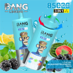 Bang Leader 85000 Puffs 3 in 1 – あなたのVaping体験を進化させる革新的なデバイス - 画像 (13)