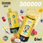 Bang Leader Stoll 300000 Puffs Vape – 6-in-1フレーバーシステム 超高容量 メッシュコイル Type-C充電 OEM/ODM対応 - 画像 (7)