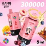 Bang Leader Stoll 300000 Puffs Vape – 6-in-1フレーバーシステム 超高容量 メッシュコイル Type-C充電 OEM/ODM対応 - 画像 (8)