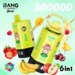 Bang Leader Stoll 300000 Puffs Vape – 6-in-1フレーバーシステム 超高容量 メッシュコイル Type-C充電 OEM/ODM対応 - 画像 (11)