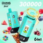 Bang Leader Stoll 300000 Puffs Vape – 6-in-1フレーバーシステム 超高容量 メッシュコイル Type-C充電 OEM/ODM対応 - 画像 (3)