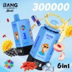 Bang Leader Stoll 300000 Puffs Vape – 6-in-1フレーバーシステム 超高容量 メッシュコイル Type-C充電 OEM/ODM対応 - 画像 (5)
