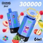 Bang Leader Stoll 300000 Puffs Vape – 6-in-1フレーバーシステム 超高容量 メッシュコイル Type-C充電 OEM/ODM対応 - 画像 (12)