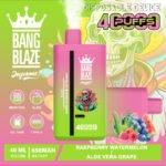 🔥 Bang Blaze 40000 Puffs｜次世代使い捨てベイプで無限のフレーバー体験 - 画像 (14)