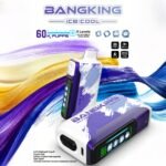 Bang King 60000 Puffs Ice Cool 超大容量60,000パフ・クアッドメッシュコイル搭載・充電式ディスポーザブルVAPE - 画像 (5)