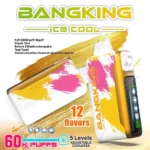 Bang King 60000 Puffs Ice Cool 超大容量60,000パフ・クアッドメッシュコイル搭載・充電式ディスポーザブルVAPE - 画像 (6)