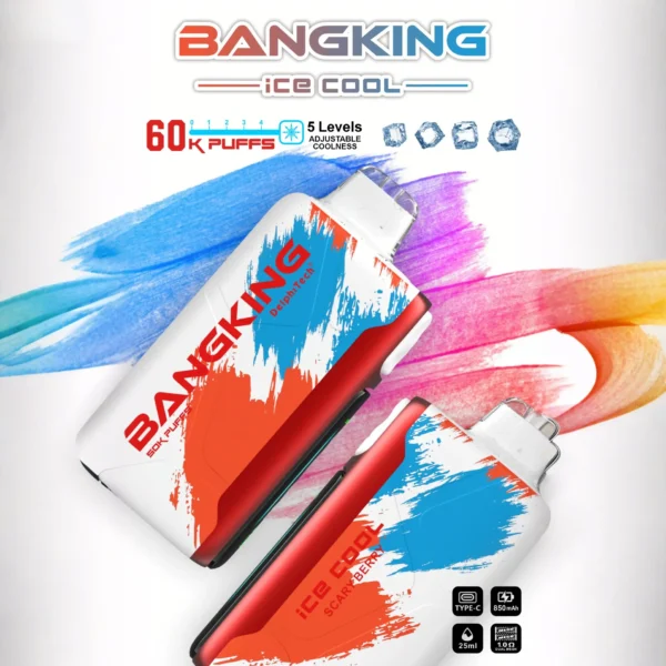 Bang King 60000 Puffs Ice Cool 超大容量60,000パフ・クアッドメッシュコイル搭載・充電式ディスポーザブルVAPE