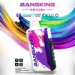 Bang King 60000 Puffs Ice Cool 超大容量60,000パフ・クアッドメッシュコイル搭載・充電式ディスポーザブルVAPE - 画像 (9)