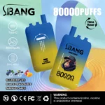 Bang Leader 80000 Puffs – 革新デザイン、圧倒的な耐久性とフレーバーの楽しみ - 画像 (4)