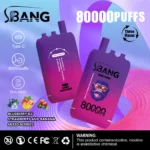 Bang Leader 80000 Puffs – 革新デザイン、圧倒的な耐久性とフレーバーの楽しみ - 画像 (5)