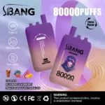 Bang Leader 80000 Puffs – 革新デザイン、圧倒的な耐久性とフレーバーの楽しみ - 画像 (7)