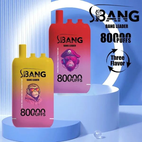 Bang Leader 80000 Puffs – 革新デザイン、圧倒的な耐久性とフレーバーの楽しみ