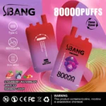 Bang Leader 80000 Puffs – 革新デザイン、圧倒的な耐久性とフレーバーの楽しみ - 画像 (12)